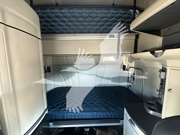 2023 PETERBILT 579 10025039934 2023 PETERBILT 579 10025039934