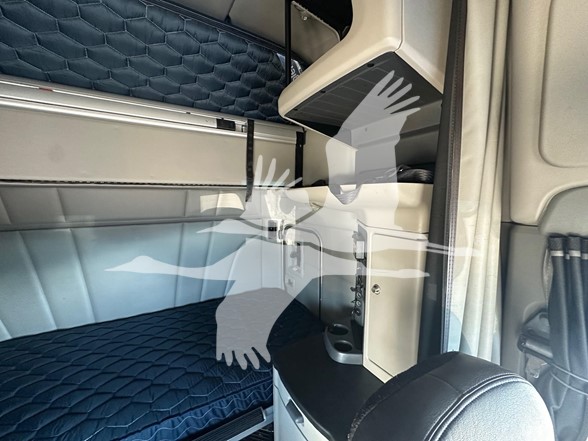 2023 PETERBILT 579 10025039944 2023 PETERBILT 579 10025039944