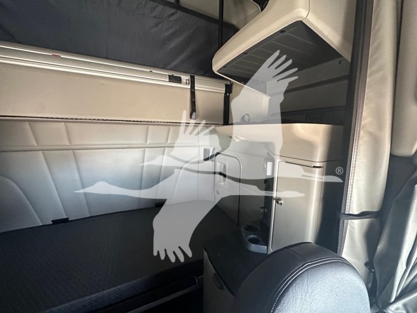 2023 PETERBILT 579 10026203217 2023 PETERBILT 579 10026203217