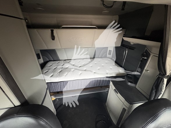 2023 PETERBILT 579 11001616293 2023 PETERBILT 579 11001616293