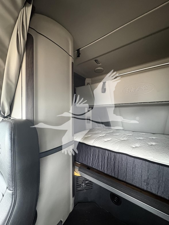 2023 PETERBILT 579 11001616318 2023 PETERBILT 579 11001616318