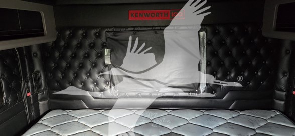 2024 KENWORTH W900 11027175969 2024 KENWORTH W900 11027175969